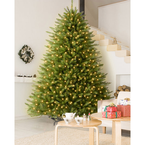 The Holiday Aisle® Extra Full Green Fir Christmas Tree with LED Lights ...